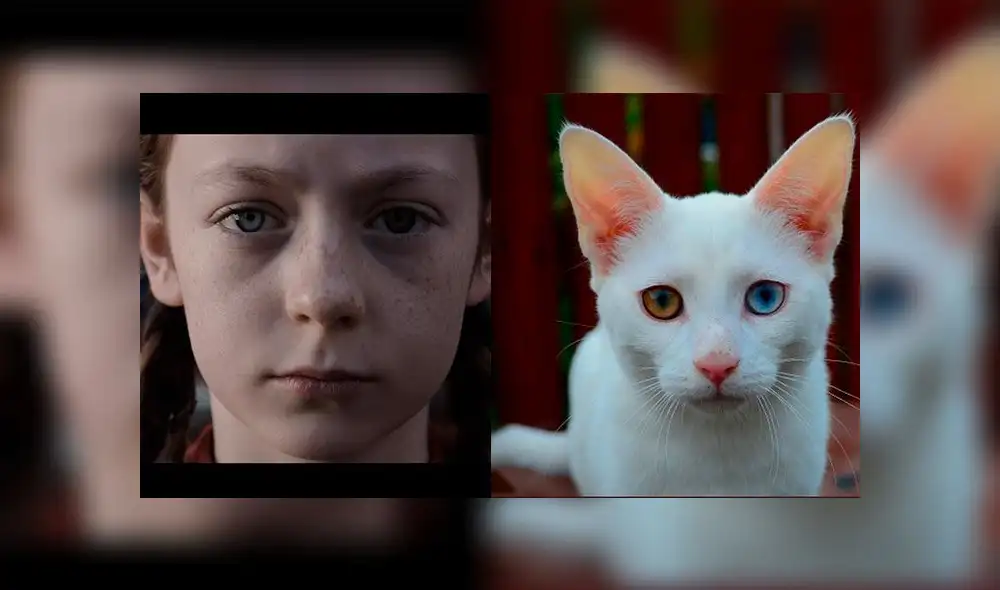 Así se verían los personajes de Dark si fueran gatitos. (Foto: Captura - Twitter: @NetflixLAT)