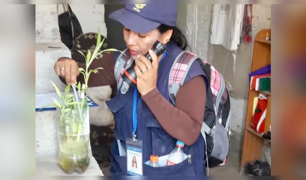 Se debe seguir recomendaciones de salud.