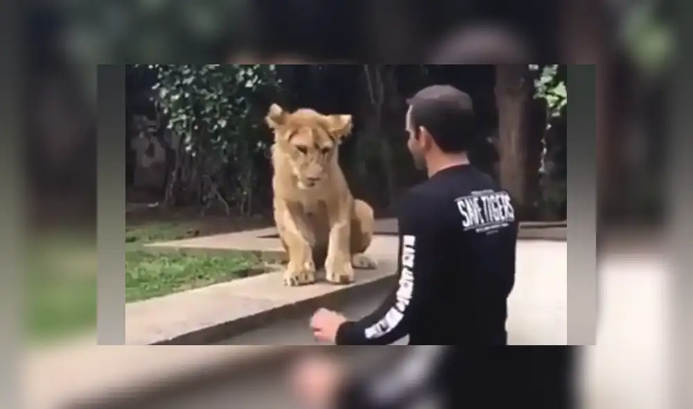 Desliza hacia la izquierda para ver las imágenes del viral de Facebook. Foto: Black Jaguar While Tiger Desliza hacia la izquierda para ver las imágenes del viral de Facebook. Foto: Black Jaguar While Tiger