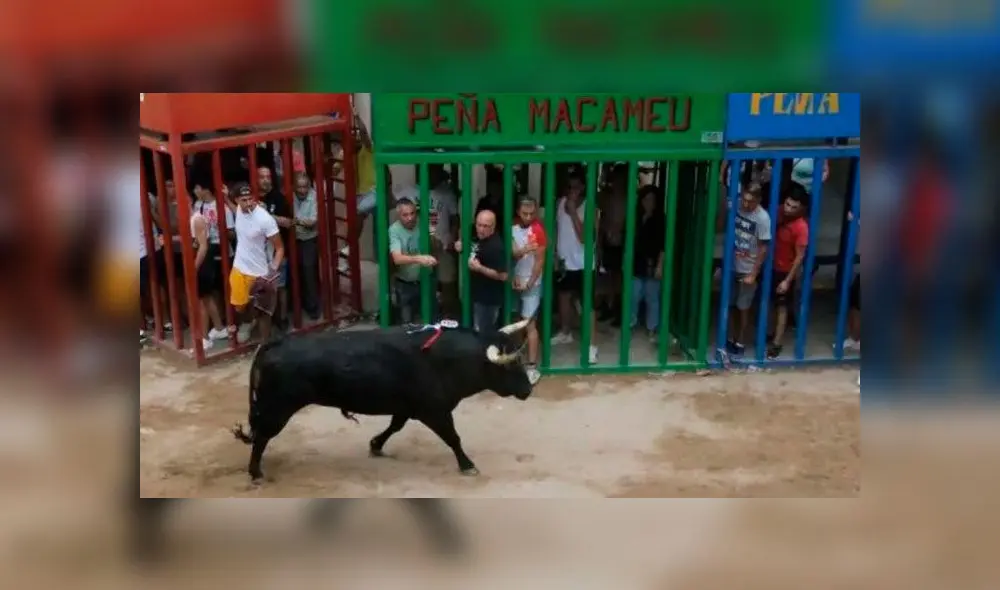 Hombre murió luego que un toro lo corneó por más de un minuto [VIDEO]