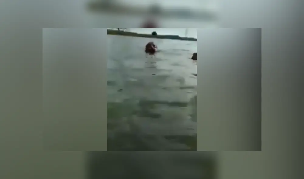 Desliza hacia la izquierda para ver las imágenes del viral de YouTube. Desliza hacia la izquierda para ver las imágenes del viral de YouTube.