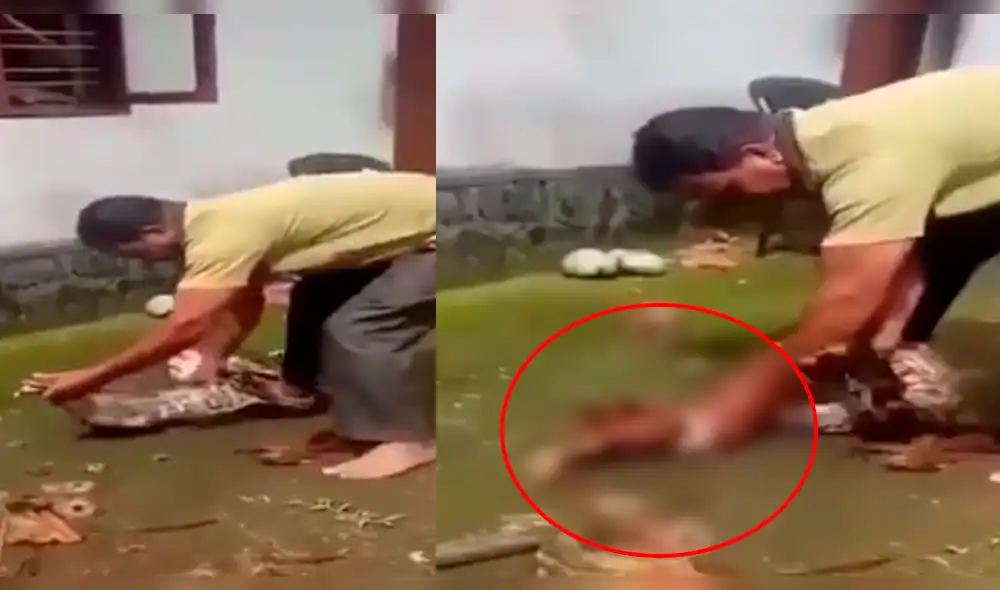 Facebook: Serpiente se come ‘almuerzo’ de señor y él recurre a insólito método para recuperarlo [VIDEO]
