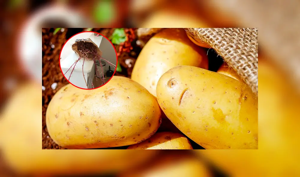 Desliza la imagen de Facebook para verlas todas. Foto: donna9p/Twitter