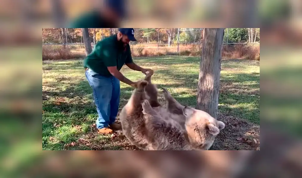 Los trabajadores del recinto quedaron impresionados cuando el oso reaccionó de una peculiar manera al ver a su antiguo cuidador. Foto: captura. Los trabajadores del recinto quedaron impresionados cuando el oso reaccionó de una peculiar manera al ver a su antiguo cuidador. Foto: captura.