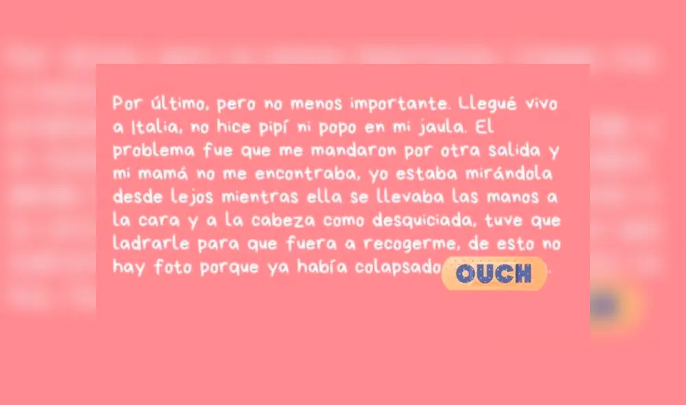 Desliza para ver los detalles de esta historia que conmovió a todos en Facebook. Foto: Captura. Desliza para ver los detalles de esta historia que conmovió a todos en Facebook. Foto: Captura.