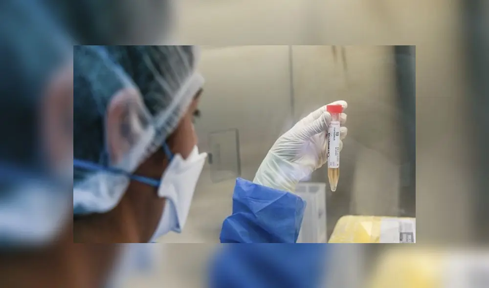 El desarrollo del proyecto durará 3 meses y contará con S/ 300 mil de financiamiento. Foto: Oficina de Comunicaciones del Instituto Nacional de Salud.