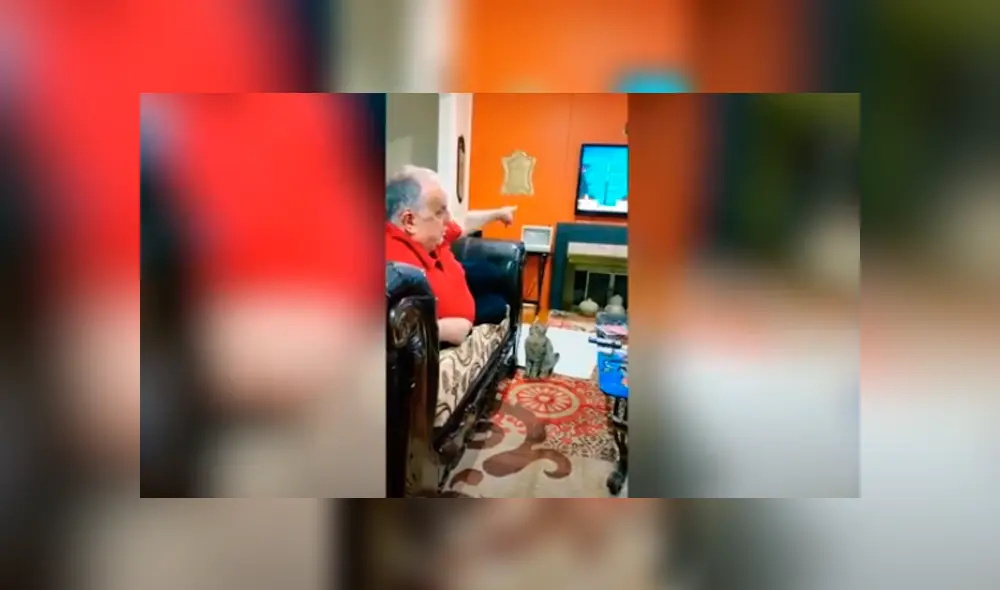 Desliza las imágenes para apreciar la emotiva escena protagonizada por un señor junto al gato de su hija. Foto: Caters Clips. Desliza las imágenes para apreciar la emotiva escena protagonizada por un señor junto al gato de su hija. Foto: Caters Clips.
