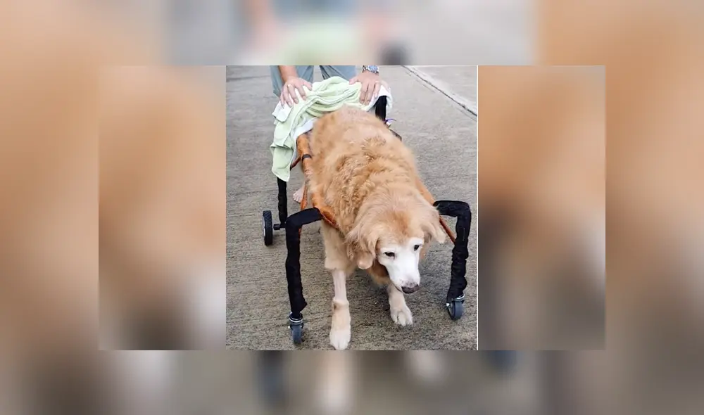 Desliza para ver los detalles del video viral publicado en YouTube. Foto: Captura.