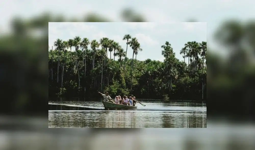 Tambopata recupera más de 500 hectáreas de la minería ilegal