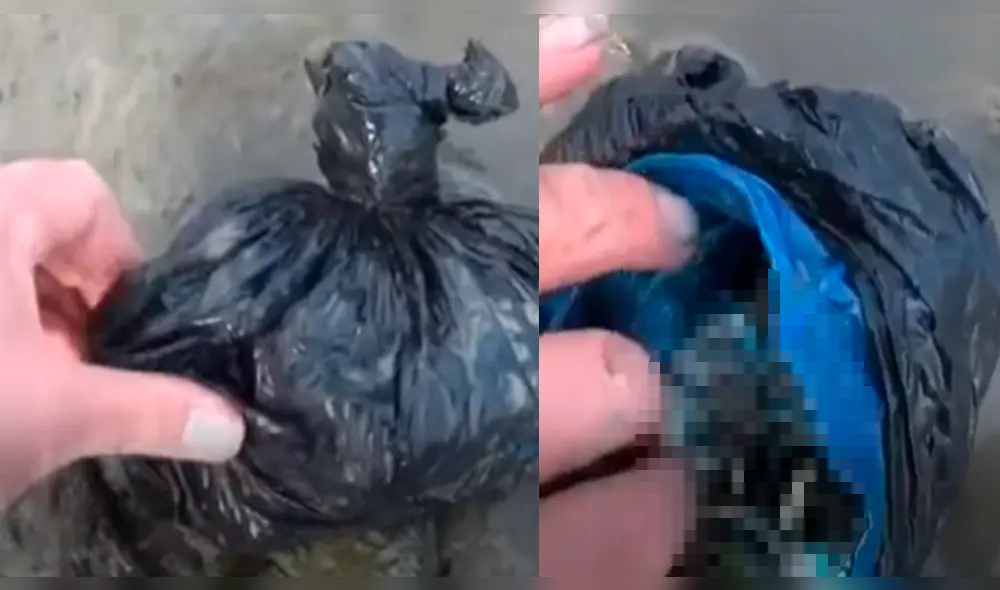 Facebook viral: se topa con extraña bolsa abandonada en río de Inglaterra y encuentra increíble tesoro dentro Facebook viral: se topa con extraña bolsa abandonada en río de Inglaterra y encuentra increíble tesoro dentro