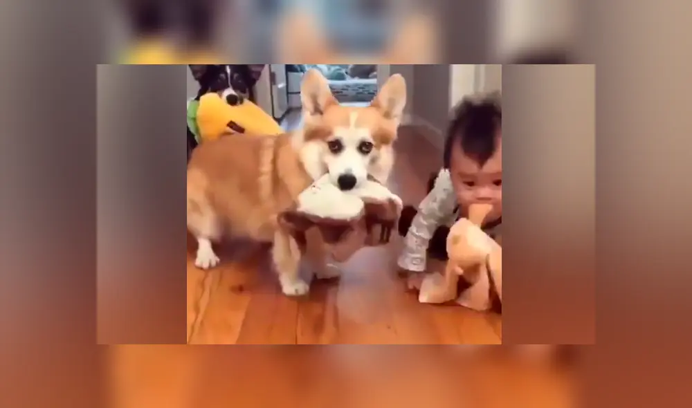 Desliza para ver los momentos más tiernos del video que se hizo viral en Facebook. Desliza para ver los momentos más tiernos del video que se hizo viral en Facebook.