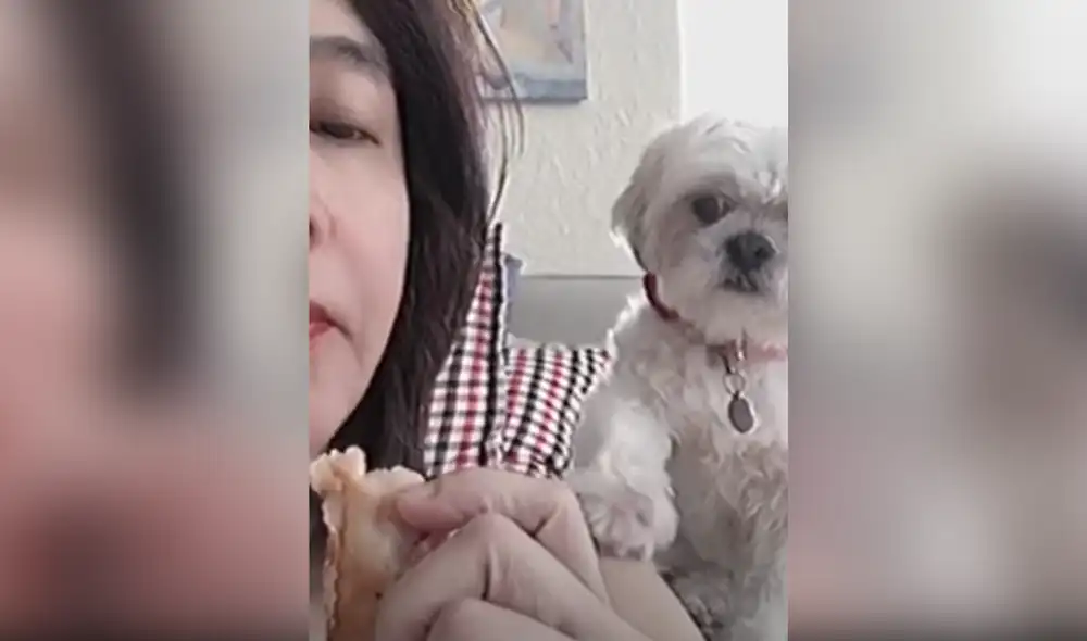 Desliza hacia la izquierda para ver las imágenes del video viral. Foto: Captura de YouTube.