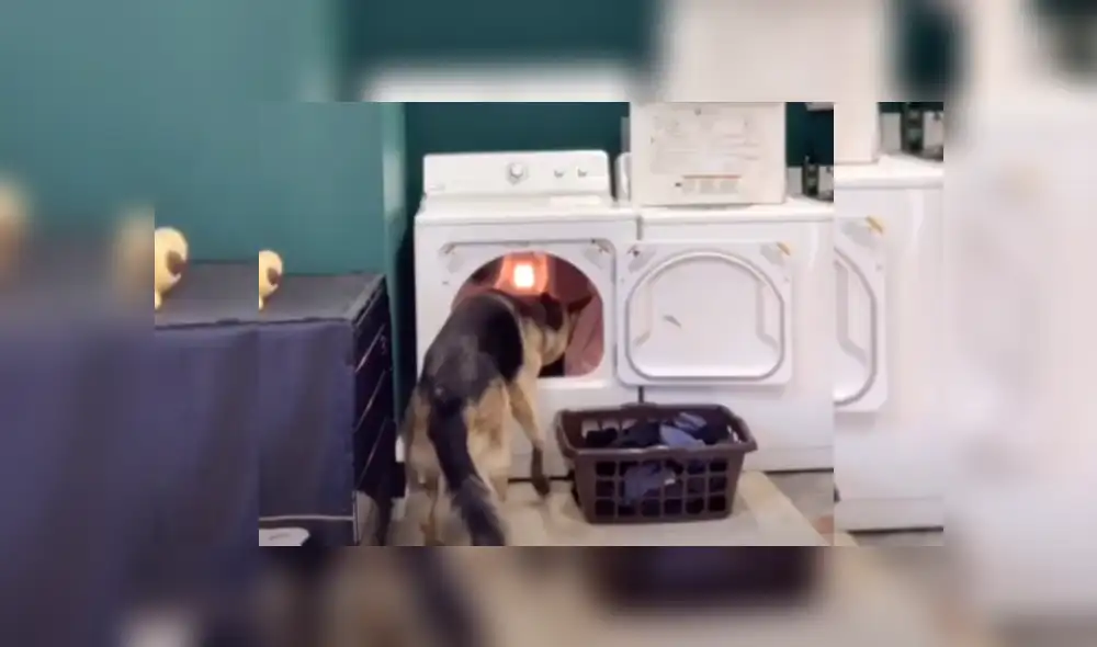 Desliza hacia la izquierda para ver más del video viral Desliza hacia la izquierda para ver más del video viral