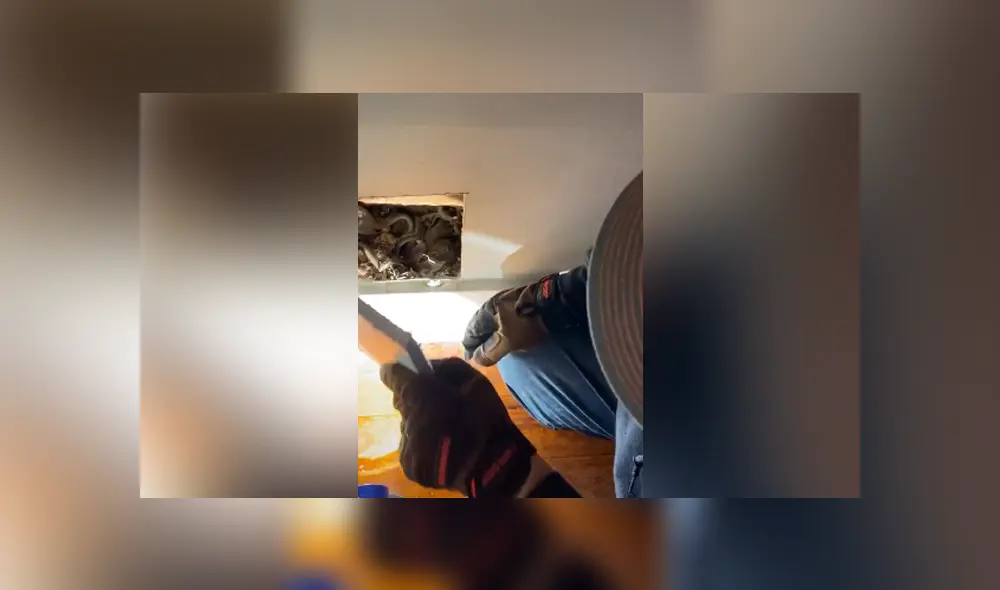 Desliza para ver todas las imágenes de Facebook. Foto: captura