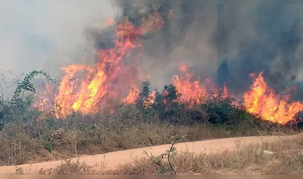 Charly Alberti y su fuerte mensaje contra Jair Bolsonaro por incendio en la Amazonía [VIDEO]