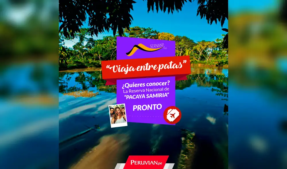 Anímate a viajar entre patas