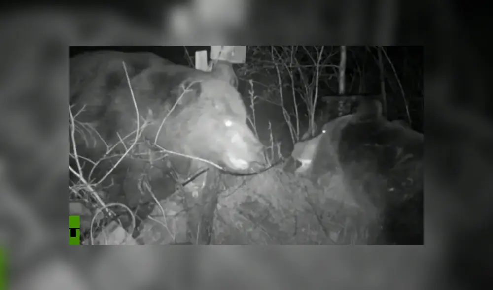 Mira la secuencia de la pelea deslizando la imagen. Foto: RT/YouTube Mira la secuencia de la pelea deslizando la imagen. Foto: RT/YouTube