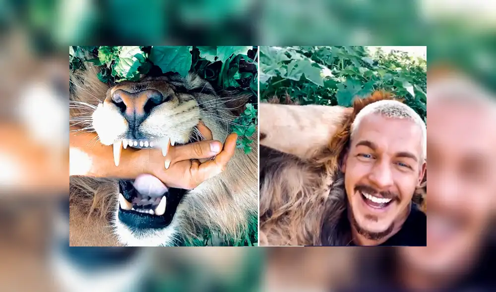 Desliza hacia la izquierda para ver la reacción que tuvo un enorme león con su amo. Escena viral de YouTube. Desliza hacia la izquierda para ver la reacción que tuvo un enorme león con su amo. Escena viral de YouTube.