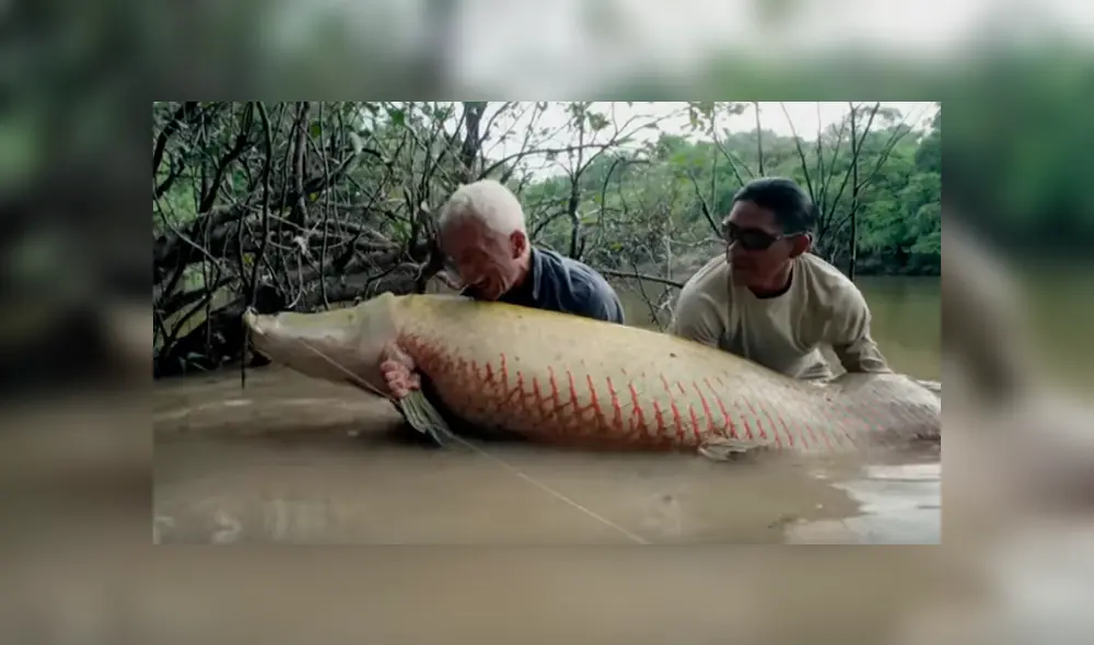 Desliza hacia la izquierda para ver al gigantesco animal que se volvió viral en Facebook.
