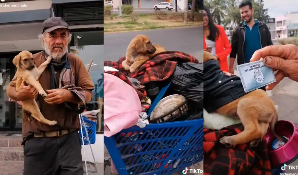 Desliza las imágenes para conocer un poco más sobre este anciano y su pequeña mascota. Foto: captura de TikTok/Chemanimals