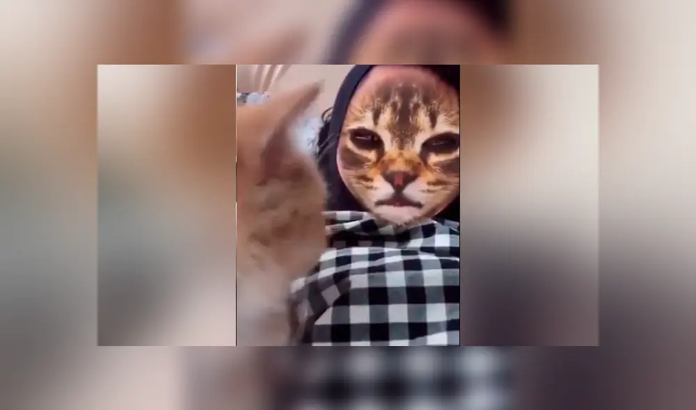 Desliza hacia la izquierda para ver la reacción que tuvo el felino al ver el filtro del gato que se ha vuelto viral en Facebook. Desliza hacia la izquierda para ver la reacción que tuvo el felino al ver el filtro del gato que se ha vuelto viral en Facebook.