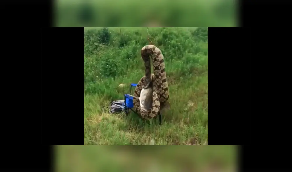 YouTube ser YouTube ser