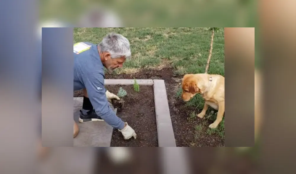 Desliza hacia la izquierda para ver más del video viral. Desliza hacia la izquierda para ver más del video viral.