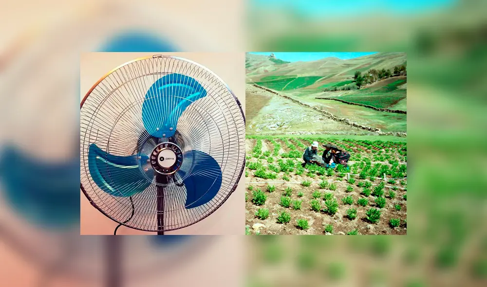Twitter: Curiosa técnica para regar una chacra sorprende a usuarios [VIDEO]