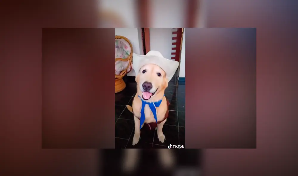 Desliza las imágenes para la divertida parodia de Toy Story que hizo una joven junto a su perro. Fotocapturas: Mariangélica Casanova/TikTok