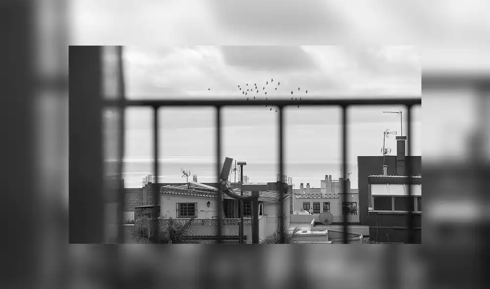 La iniciativa busca que las personas muestren su creatividad desde sus ventanas y balcones. Foto: Twitter @PICPOLPHOTO