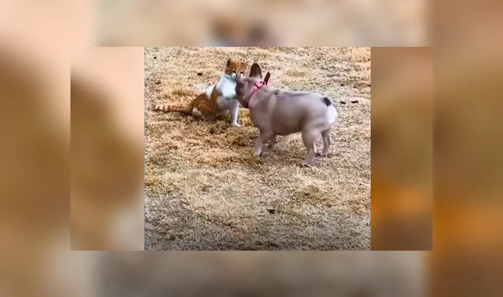 Desliza hacia la izquierda para ver el conmovedor momento que se volvió viral en Facebook.