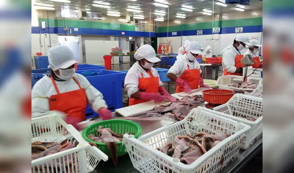 Trabajadores perderán sus empleos Trabajadores perderán sus empleos