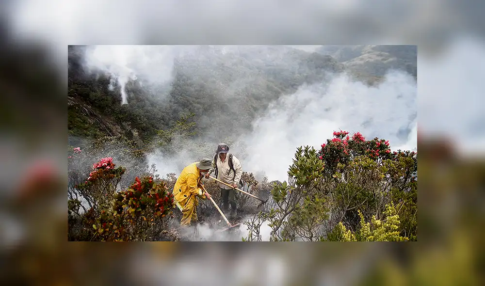 En acción. "Somos la primera fuerza de respuesta ante los incendios forestales", asegura la dirección del Servicio Nacional de Áreas Naturales Protegidas por el Estado (Sernanp). En acción. "Somos la primera fuerza de respuesta ante los incendios forestales", asegura la dirección del Servicio Nacional de Áreas Naturales Protegidas por el Estado (Sernanp).