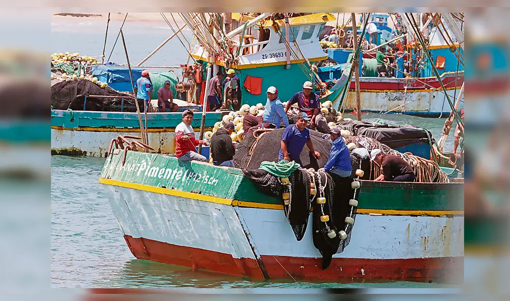 En defensa. Pescadores se oponen a depredación del mar. En defensa. Pescadores se oponen a depredación del mar.
