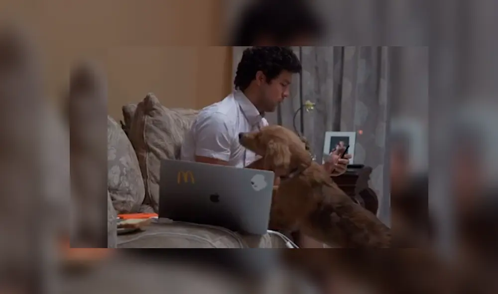 Desliza la imagen de TikTok para verlas todas. Desliza la imagen de TikTok para verlas todas.