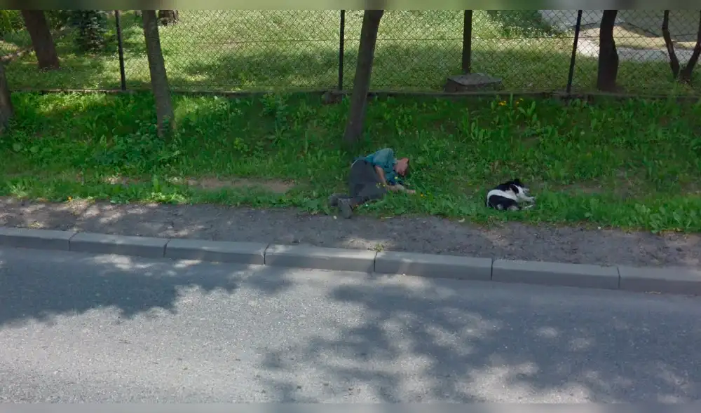 Google Maps: ebrio se queda dormido y su perro fiel tiene increíble reacción [FOTOS]