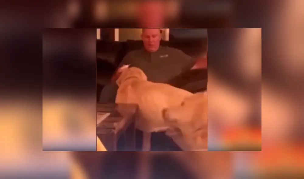 Desliza las imágenes para ver la singular escena que protagonizó este perrito junto con su dueño. Fotocaptura: @edu_perdomo/TikTok Desliza las imágenes para ver la singular escena que protagonizó este perrito junto con su dueño. Fotocaptura: @edu_perdomo/TikTok