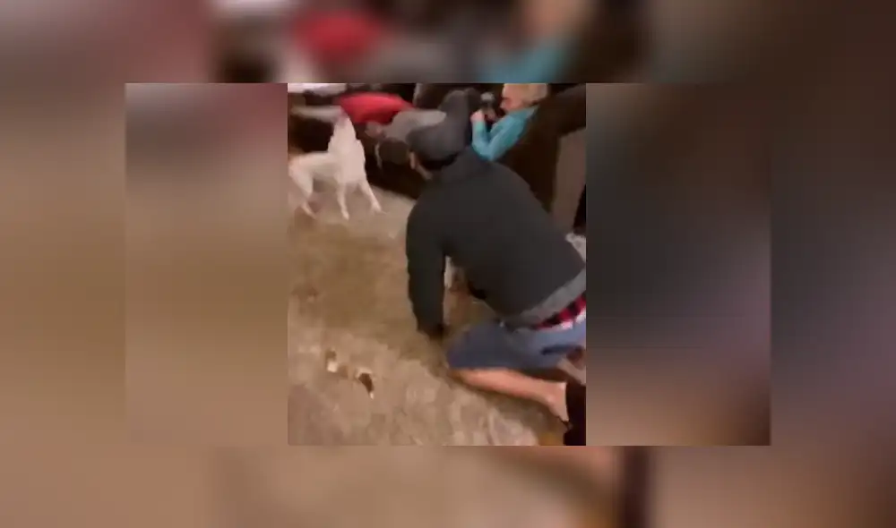 Desliza para ver los momentos más tiernos del video que se hizo viral en YouTube. Desliza para ver los momentos más tiernos del video que se hizo viral en YouTube.