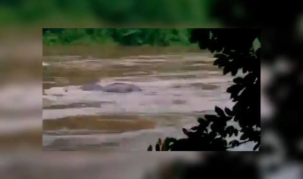 Las lluvias en la India generaron el desborde del río Kutipuzha. Foto: Captura/Twitter Las lluvias en la India generaron el desborde del río Kutipuzha. Foto: Captura/Twitter