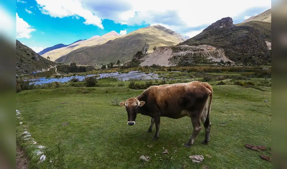 Vilca: El edén a un paso de Lima [FOTOS]