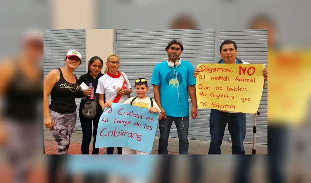 Animalistas exigen castigo para acusado de matanza de perros en chifa Animalistas exigen castigo para acusado de matanza de perros en chifa