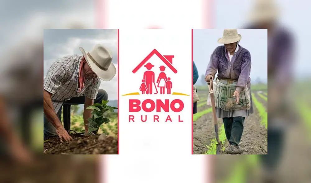 Bono Rural: CONSULTA AQUÍ con tu DNI si puedes cobrar los 760 soles. Foto: composición. Bono Rural: CONSULTA AQUÍ con tu DNI si puedes cobrar los 760 soles. Foto: composición.