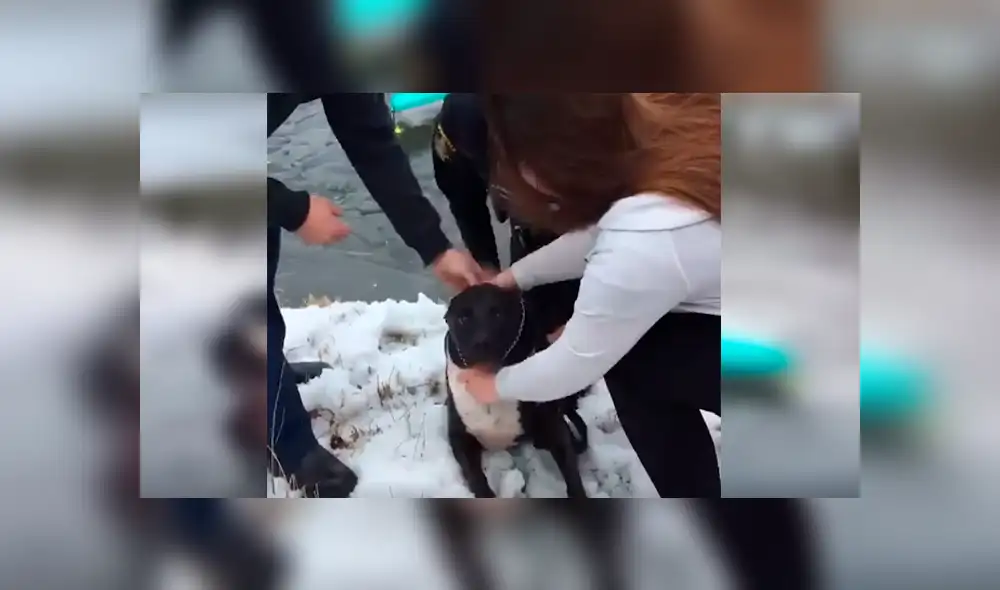 Desliza las imágenes para observar el rescate que realizó un policía tras ingresar a aguas congeladas para salvar a un perro.