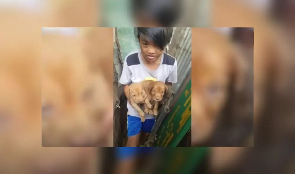 Desliza hacia la izquierda para ver más del video viral. Fotocaptura: YouTube