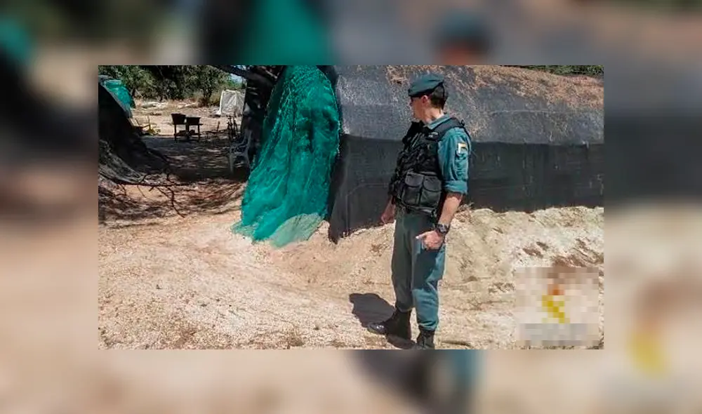Cadáver calcinado de una mujer es hallado por un vecino en un parque Cadáver calcinado de una mujer es hallado por un vecino en un parque
