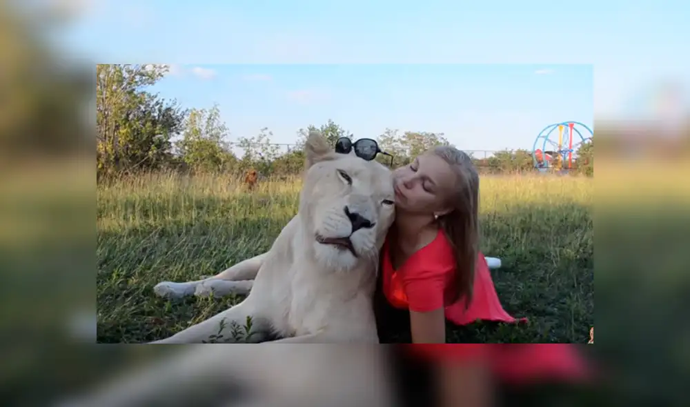 Desliza hacia la izquierda para ver las divertidas fotos que se tomó una mujer junto a la enorme leona en el zoológico y se ha vuelto viral en YouTube. Desliza hacia la izquierda para ver las divertidas fotos que se tomó una mujer junto a la enorme leona en el zoológico y se ha vuelto viral en YouTube.