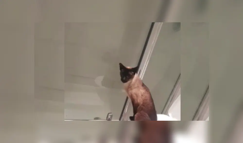 Desliza hacia la izquierda para ver más del video viral Desliza hacia la izquierda para ver más del video viral