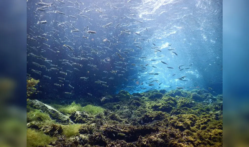 Arequipa: Proyecto Laguna Azul entre conflicto e inversión Arequipa: Proyecto Laguna Azul entre conflicto e inversión