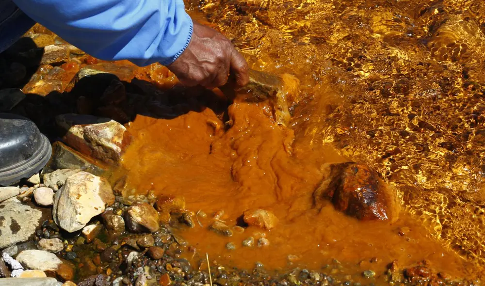 Cuenca lechera en Puno sigue siendo afectada por contaminación minera Cuenca lechera en Puno sigue siendo afectada por contaminación minera