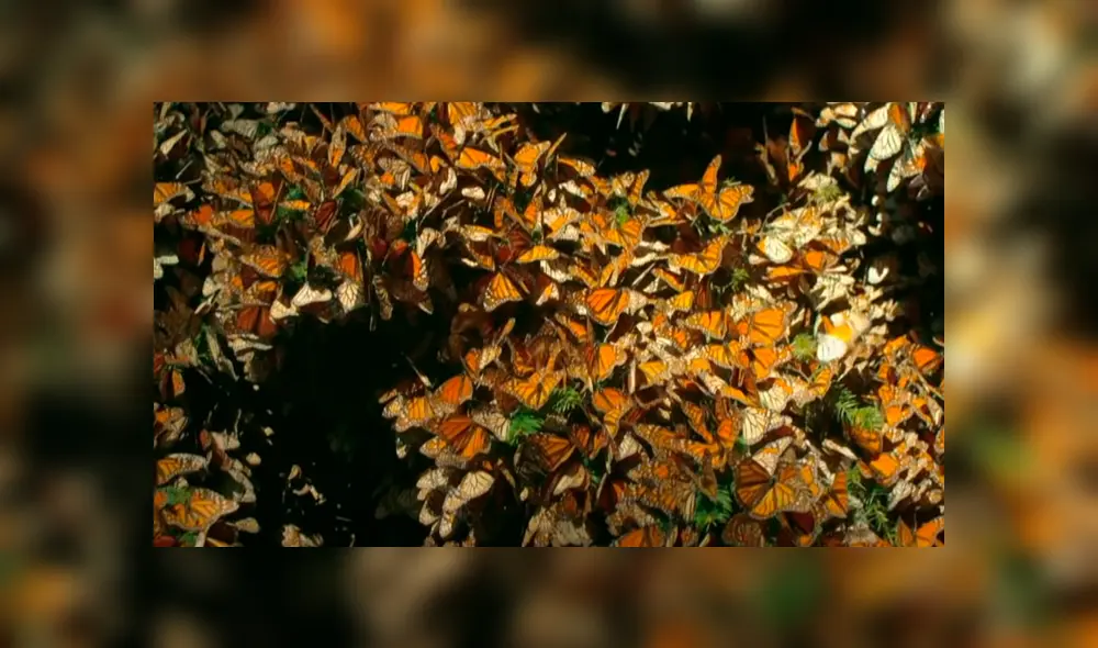 Desliza la imagen de Facebook para verlas todas. Desliza la imagen de Facebook para verlas todas.